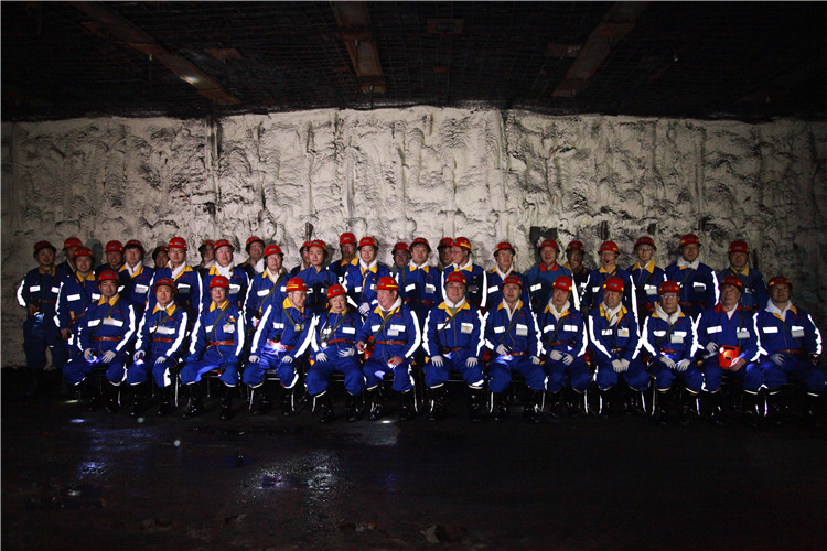 創(chuàng)新聯(lián)盟專家團(tuán)隊(duì)在陜煤（右起左四為何滿潮院士、宋振騏院士、張鐵崗院士、煤炭工業(yè)協(xié)會副理事長劉峰